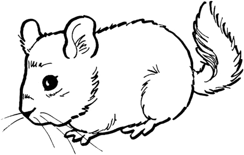 Mouse To Print Coloring Page