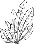 Palm Leaves Free Coloring Page