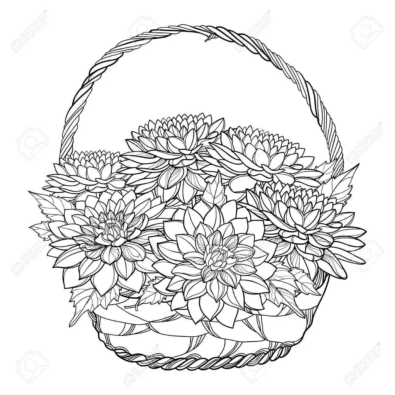 Print Dahlia For Chirldren Coloring Page