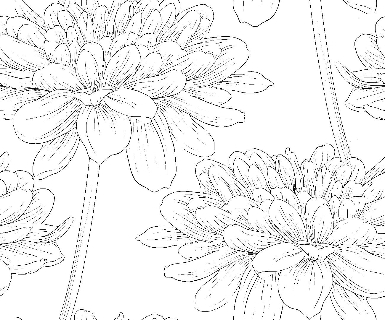 Print Dahlia Picture For Kids