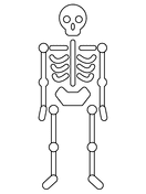 Skeleton Free Image