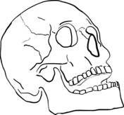 Skeleton Head To Print Coloring Page