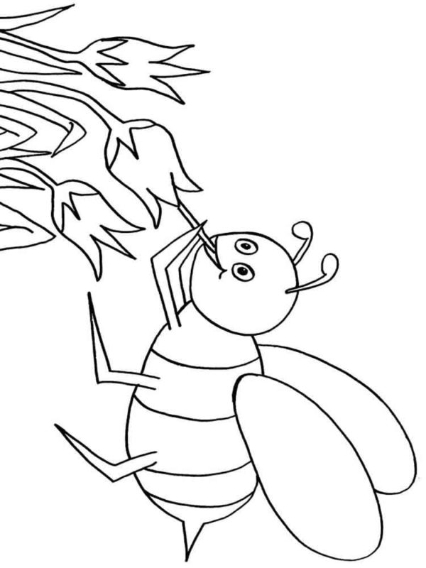 Straight from the straw, the bee drinks nectar from the flower Coloring Page