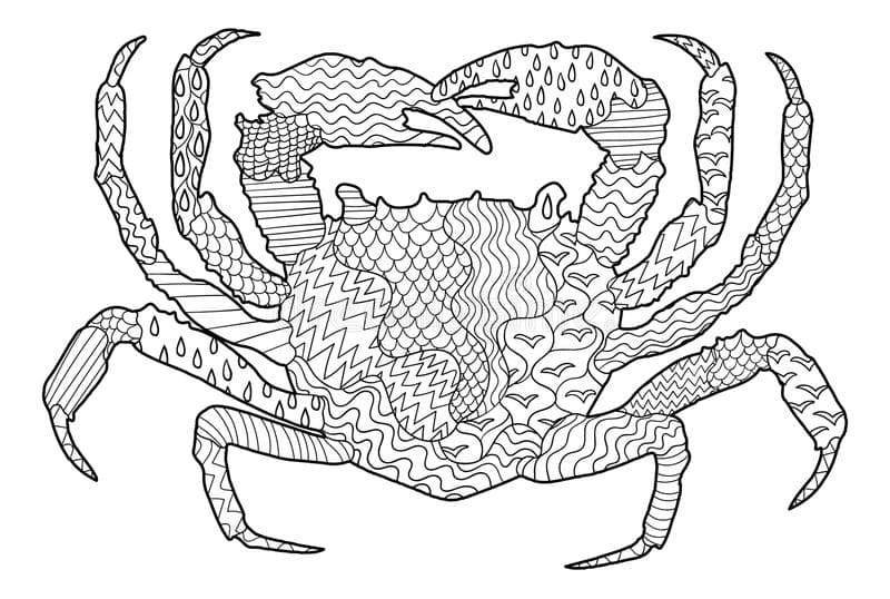 Style Crab For Children