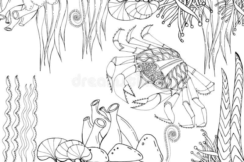 Style Crab coloring For Kid Coloring Page