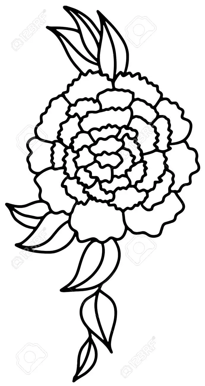 Vase Dahlia Flower Coloring Page