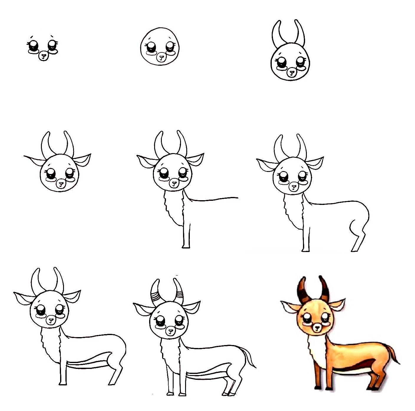 antelope-drawing