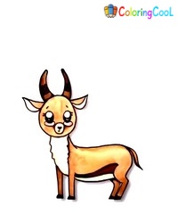 How To Draw An Antelope – 9 Simple Steps Creating Cute Antelope Drawing