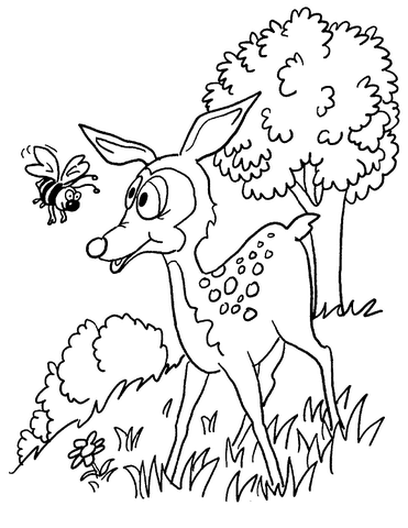 Bambi In The forest Coloring