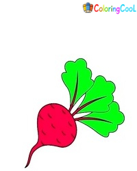 Beetroot Drawing Is Made In 8 Easy Steps Coloring Page