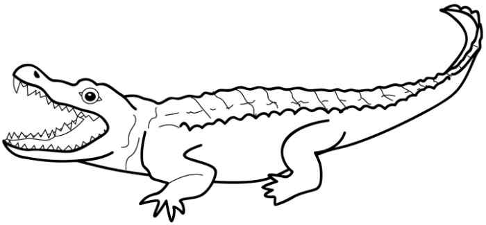Cartoon Crocodile Coloring Page