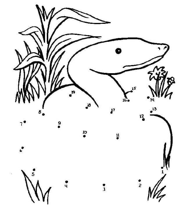 Connect The Dots Snake Coloring Page