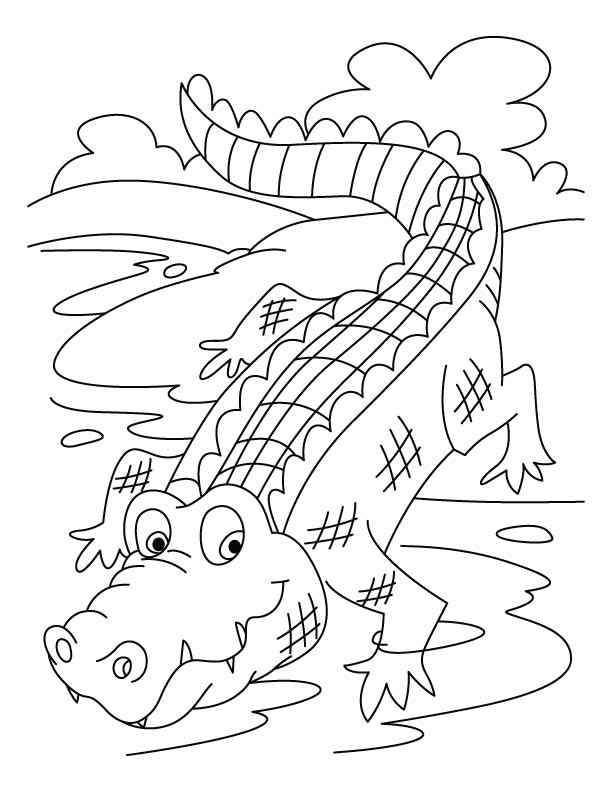 New Crocodile To Print Coloring Page