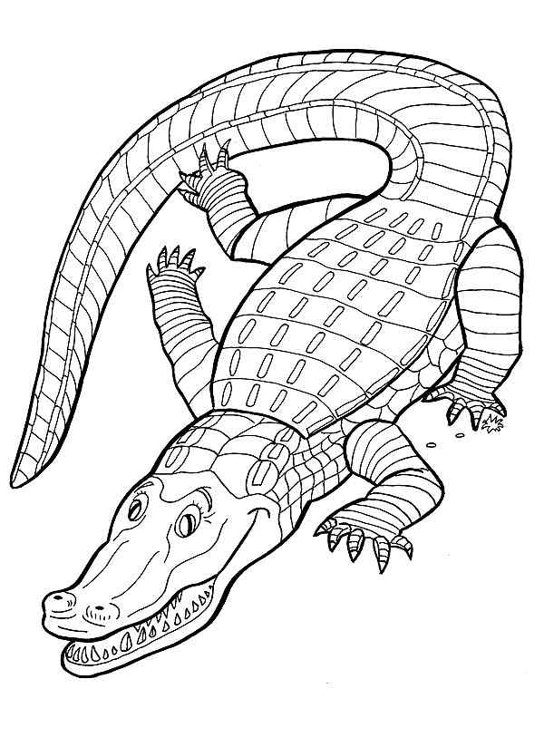 Crocodile For Kid Coloring Page
