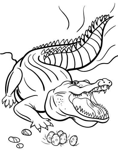 Printable New Crocodile Coloring Page