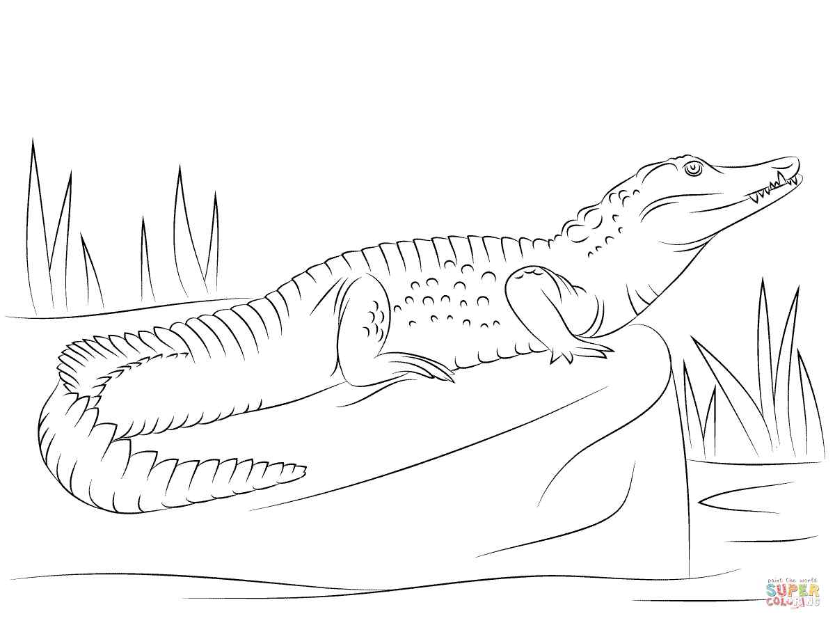Crocodile To Print For Kids Coloring Page