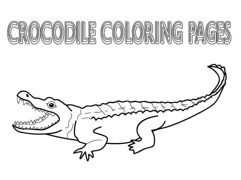 Nice Crocodile For Kids Coloring Page