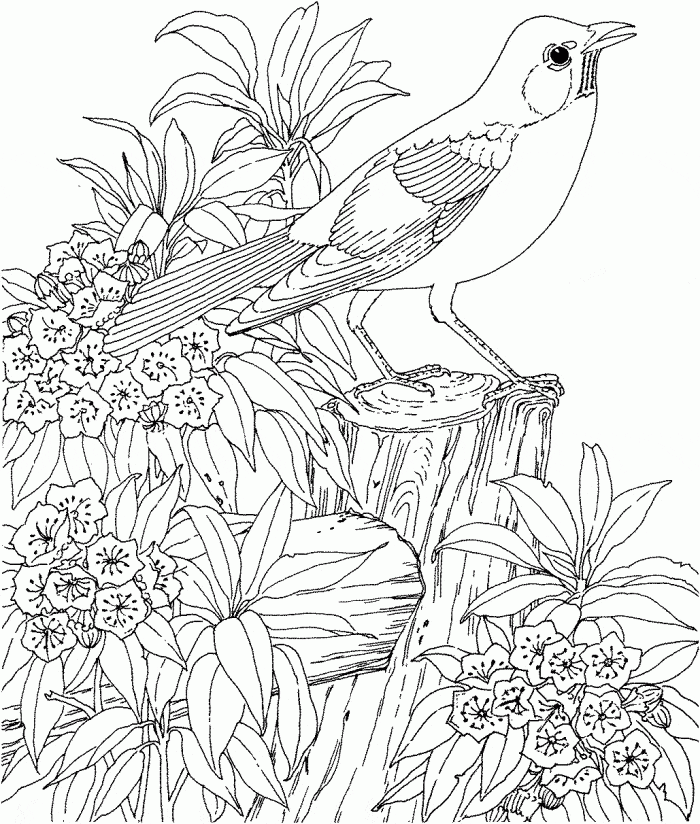 Download and color hard coloring pages To Print