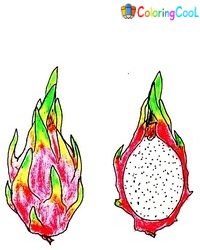Dragon Fruit Drawing Is Made In 6 Easy Steps Coloring Page
