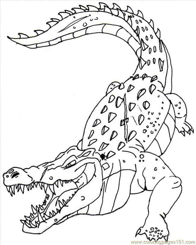 Hungry Crocodile Coloring Page