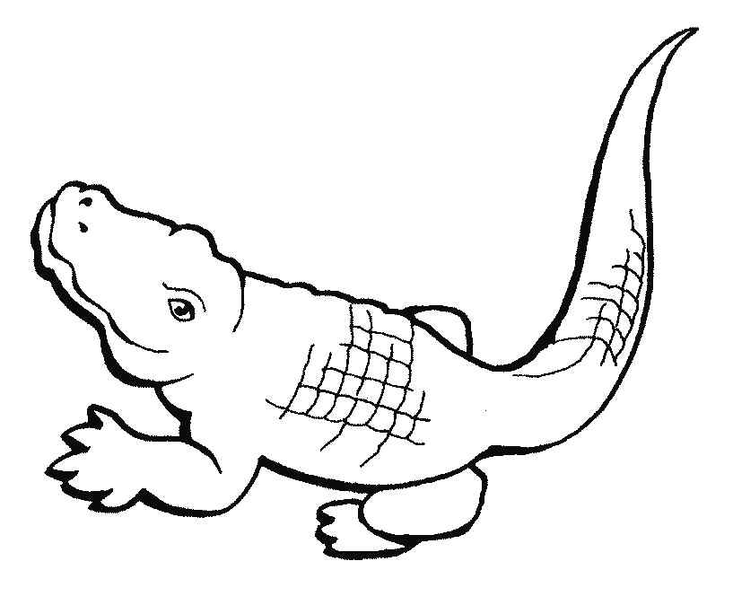 Little Crocodile Coloring Page