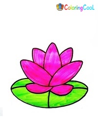 How To Draw A Lotus – 7 Easy Steps For Creating A Nice Lotus Drawing