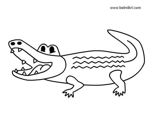 Only Crocodile Coloring Page