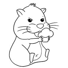 A Best Hamster Free Printable Coloring Page