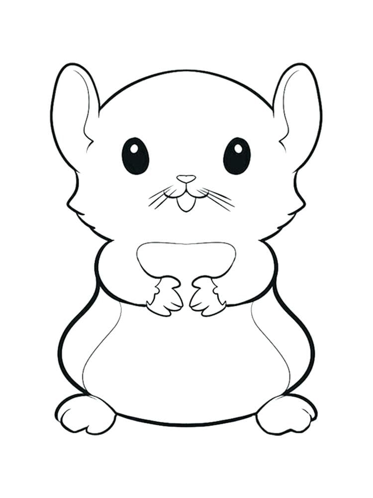 Adorable Hamster Printable Coloring Page