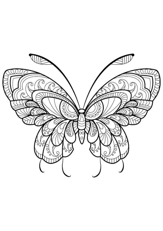 Adult Butterfly Coloring Coloring Page
