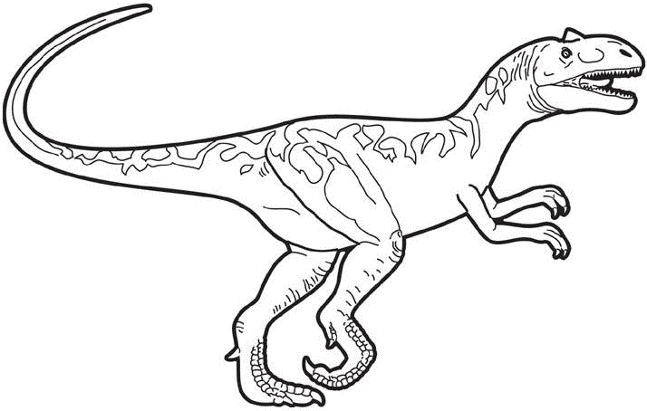 Allosaurus Dinosaur Coloring Page Coloring Page