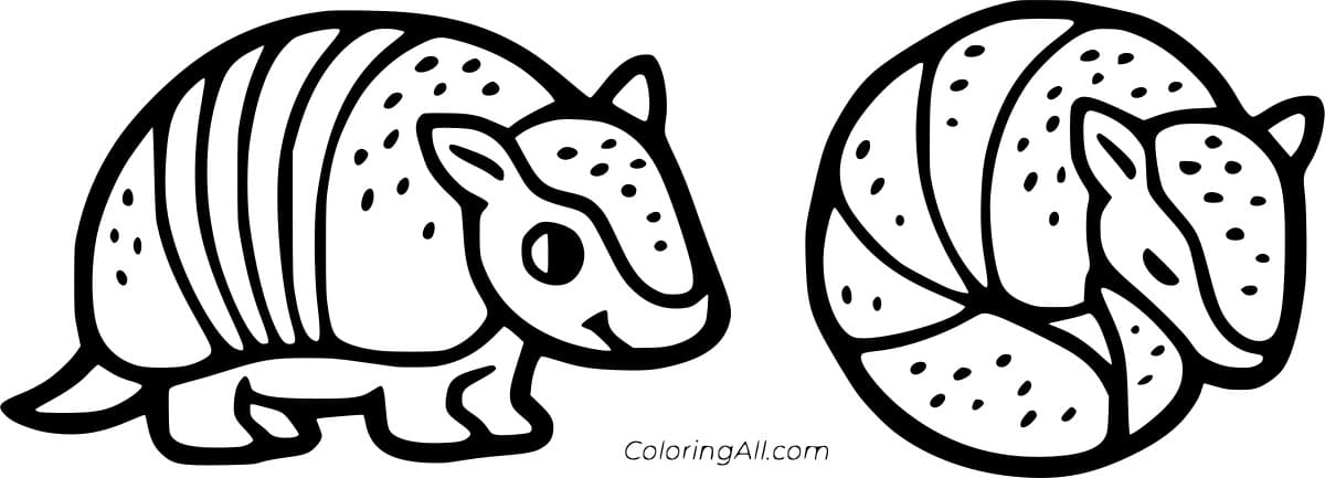 Armadillo Can Turn into a Ball Free Coloring Page