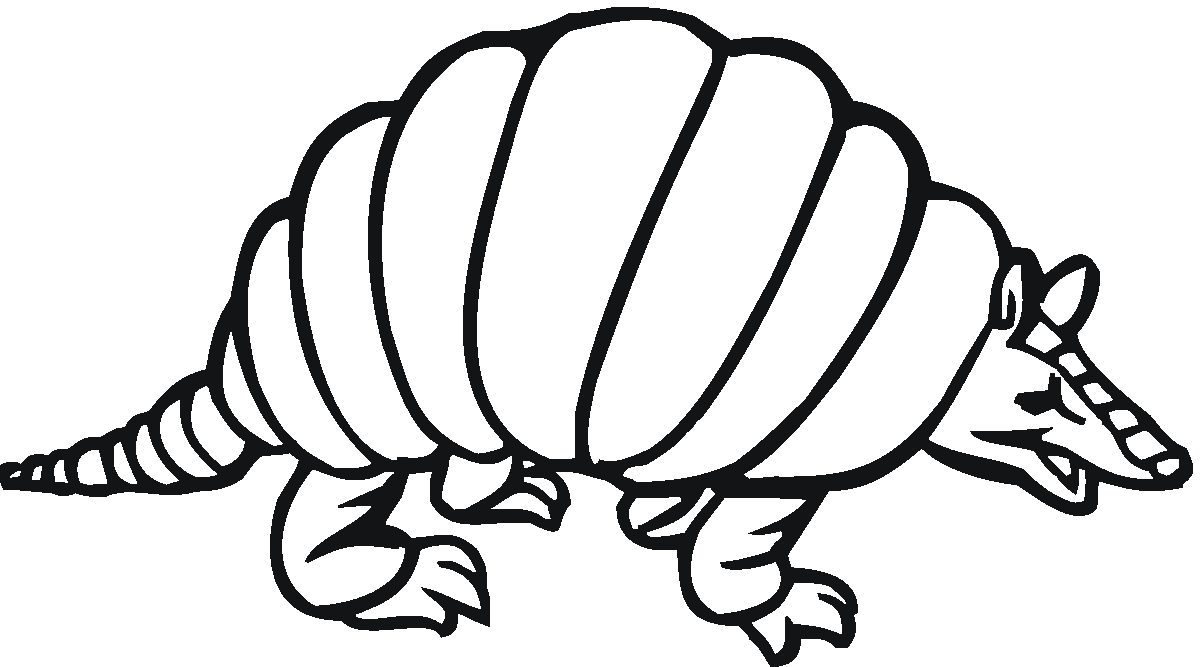 Armadillo Coloring For Kids Coloring Page