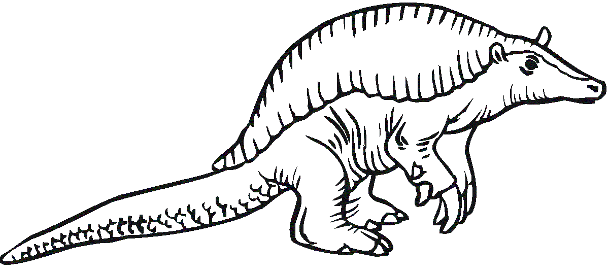 Armadillo Coloring Page Art Coloring Page