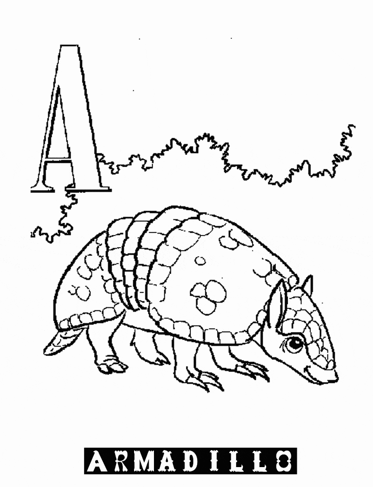 Armadillo Coloring Sheet Coloring Page