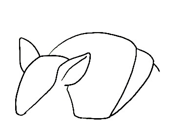 Armadillo-Drawing-1