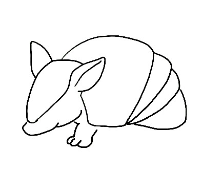 Armadillo-Drawing-3