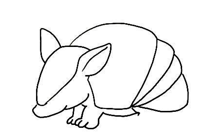 Armadillo-Drawing-4