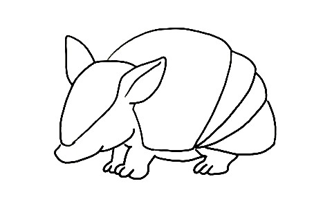 Armadillo-Drawing-5