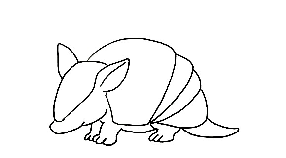 Armadillo-Drawing-6