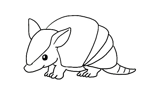 Armadillo-Drawing-7