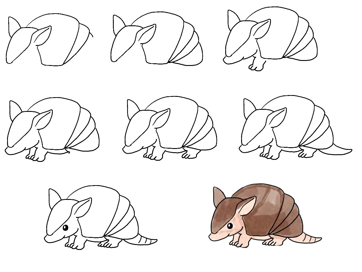 Armadillo-Drawing