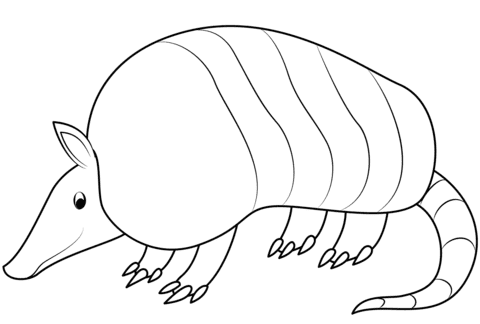 Armadillo Coloring To Print Coloring Page