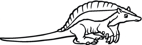 Armadilo For Kids Coloring Page