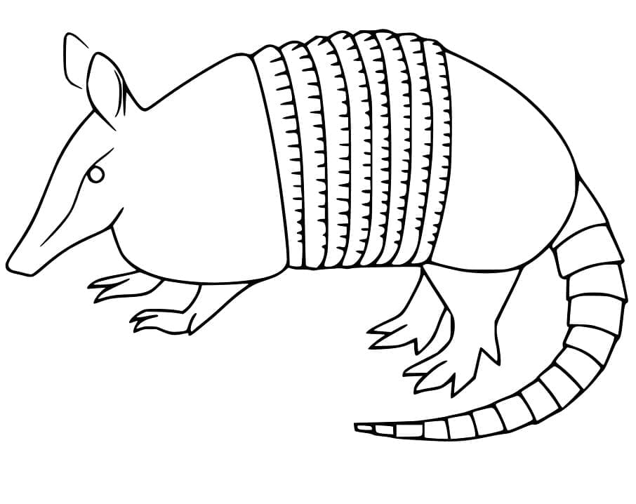 Armadillo Picture To Print Coloring Page