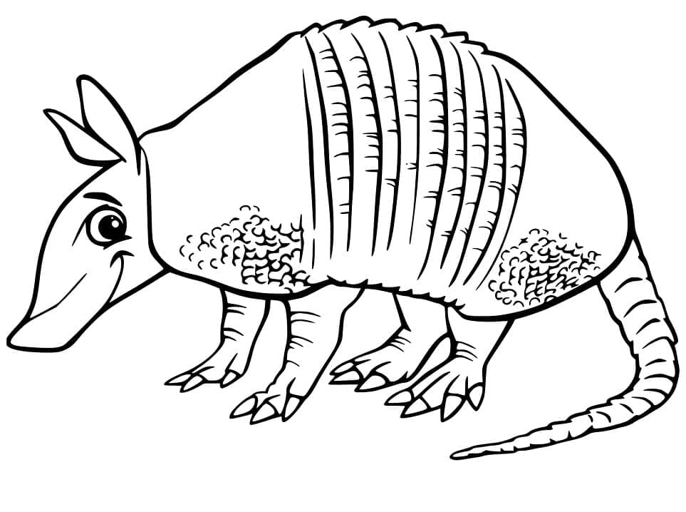 Armadillo is Smiling To Print