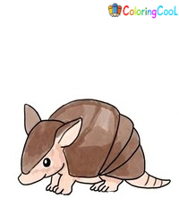 8 Simple Steps To Create A Cute Armadillo Drawing – How To Draw An Armadillo Coloring Page