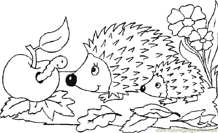 Babby Hedgehog Seeing Apple Free Printable Coloring Page