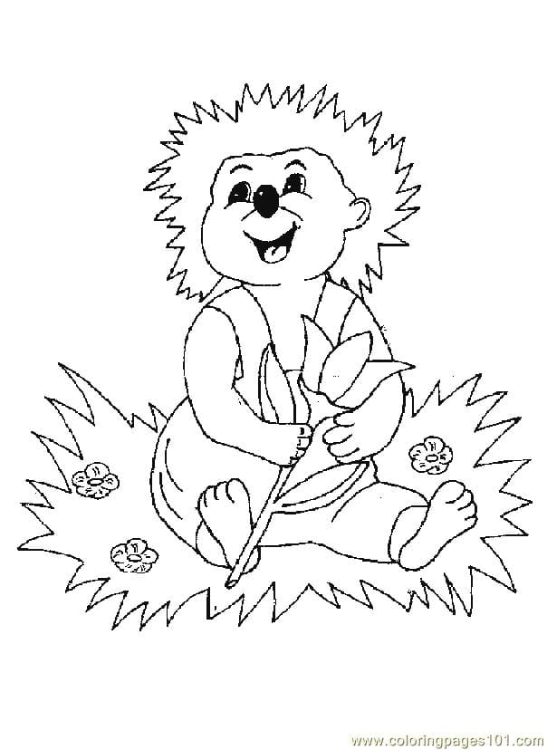 Babby Hedgehogs Coloring Coloring Page