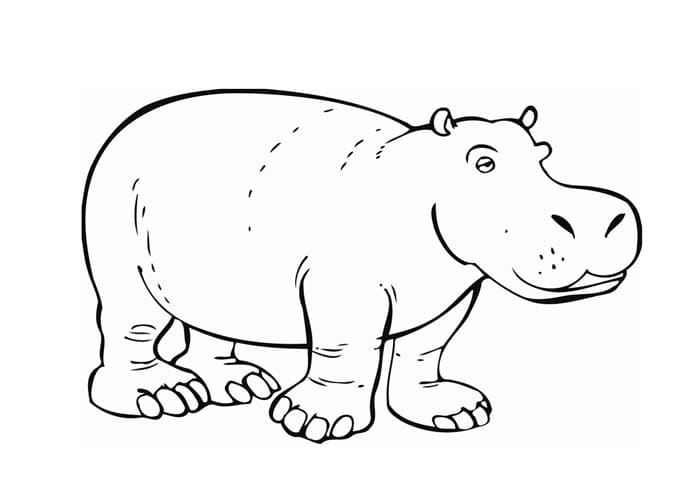 Baby Hippo For Children Coloring Page